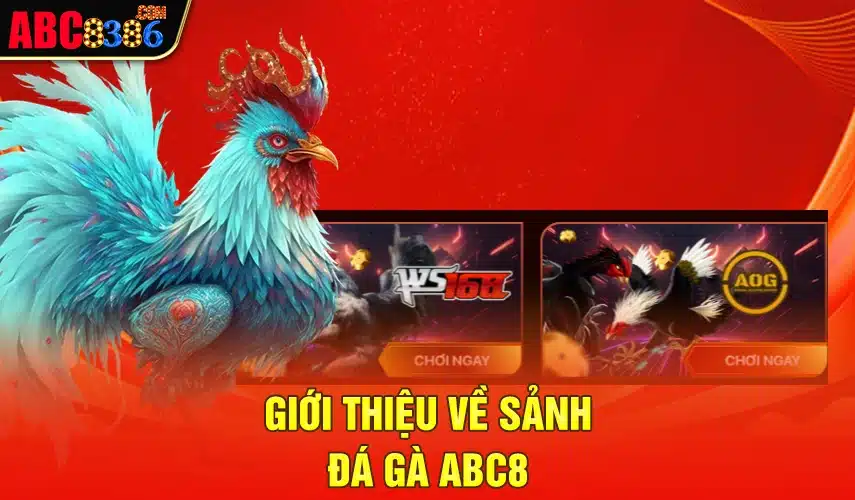 Giới thiệu về sảnh đá gà ABC8