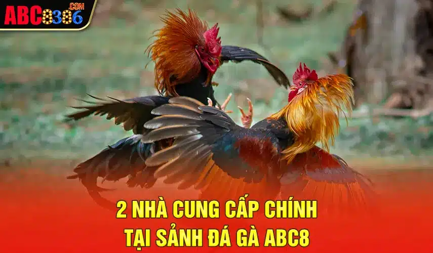 2 nhà cung cấp chính của sảnh Đá gà ABC8 