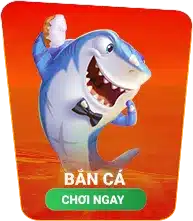 Bắn cá abc8